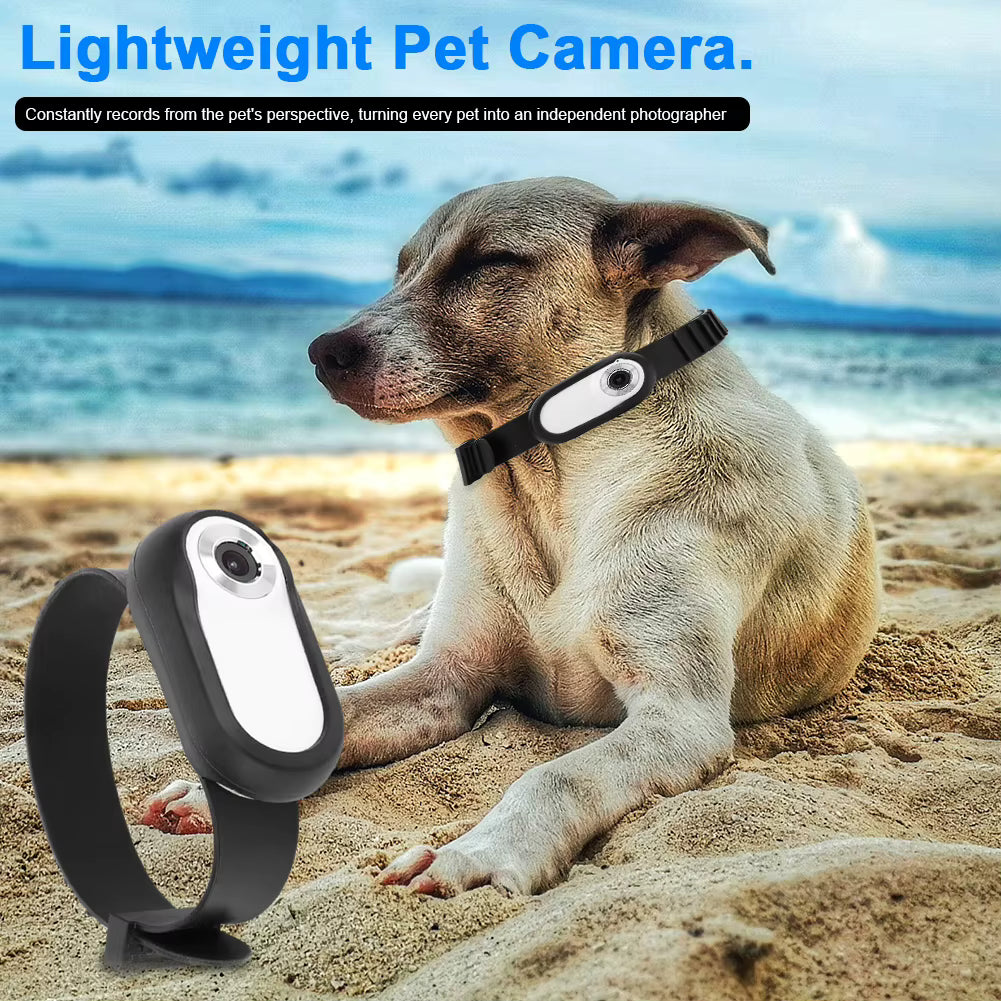 PawViewPro HD 1080P Anti-Shake Pet Camera